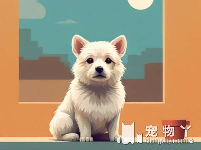 中小型犬有哪些，比较典型的宠物犬？